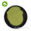 Extracto de proteína de espirulina azul orgánico a granel
